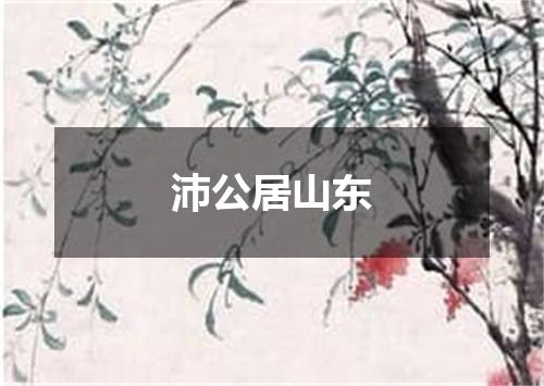 沛公居山东