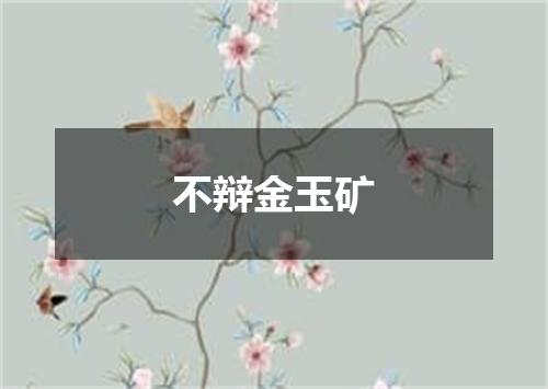 不辩金玉矿