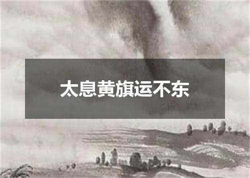 太息黄旗运不东