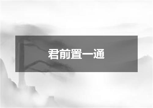 君前置一通