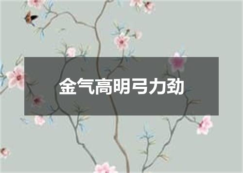 金气高明弓力劲