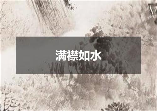 满襟如水