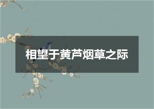 相望于黄芦烟草之际