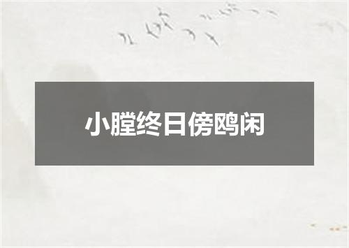 小膛终日傍鸥闲