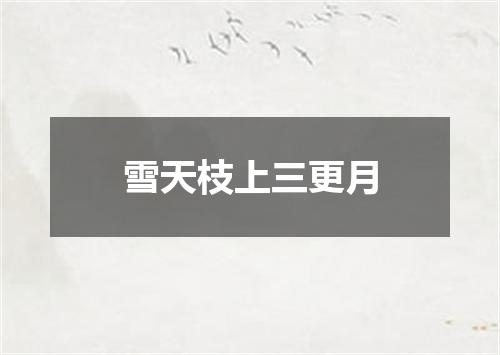雪天枝上三更月