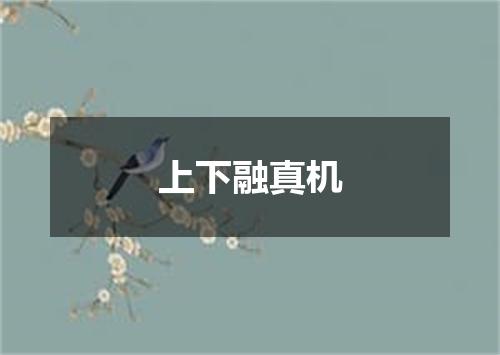 上下融真机