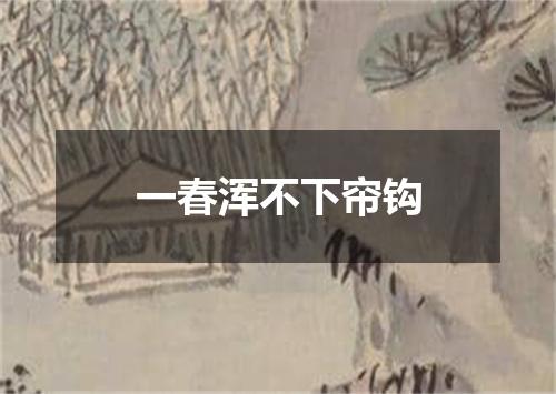 一春浑不下帘钩