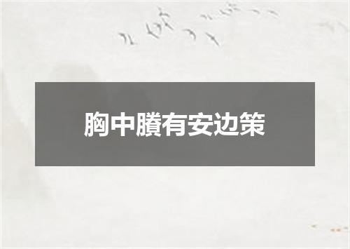 胸中賸有安边策