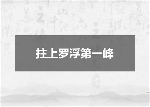 拄上罗浮第一峰