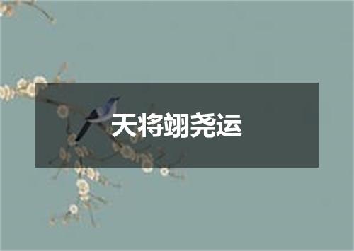 天将翊尧运