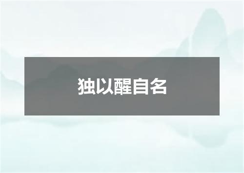 独以醒自名