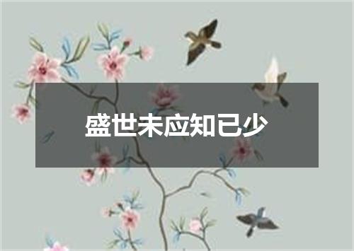 盛世未应知已少