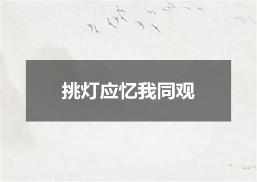 挑灯应忆我同观