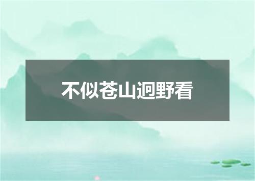 不似苍山迥野看