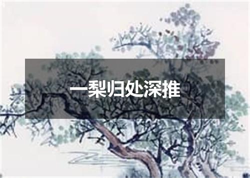 一梨归处深推