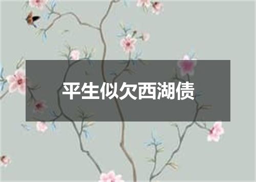 平生似欠西湖债