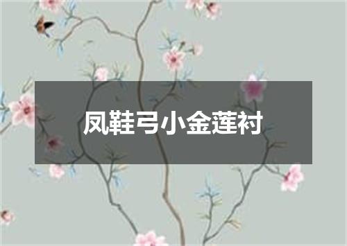 凤鞋弓小金莲衬
