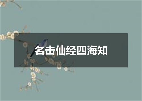 名击仙经四海知