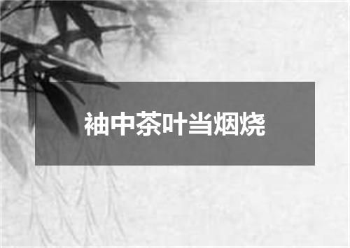袖中茶叶当烟烧