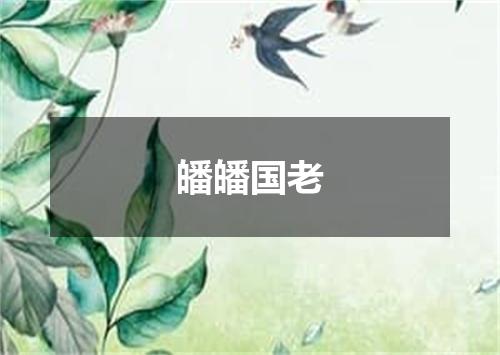 皤皤国老