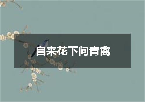 自来花下问青禽