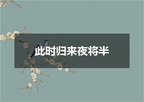 此时归来夜将半