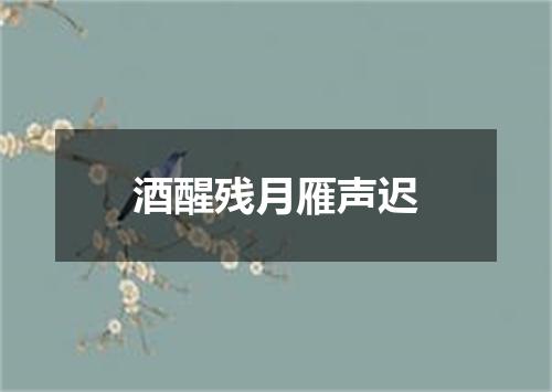 酒醒残月雁声迟