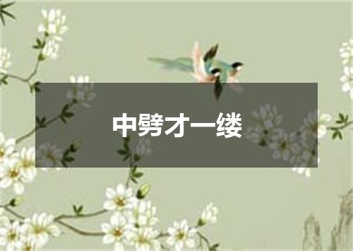 中劈才一缕