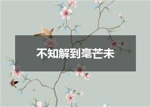 不知解到毫芒未