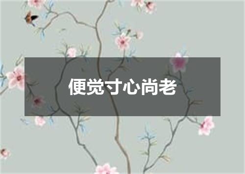 便觉寸心尚老