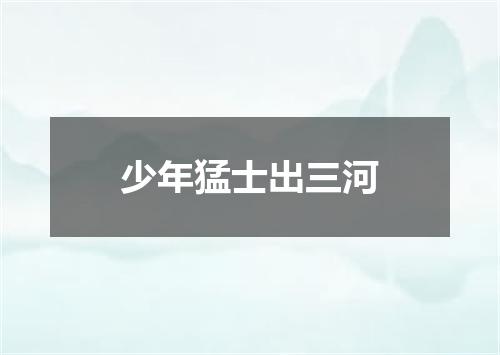 少年猛士出三河