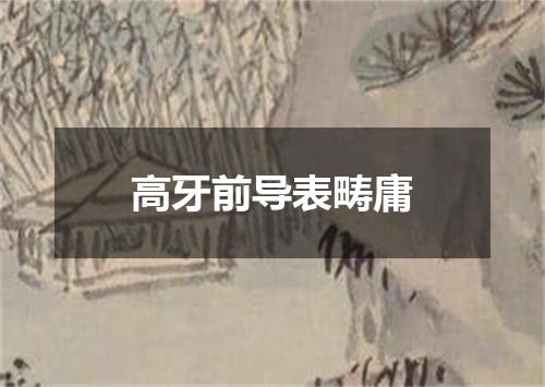 高牙前导表畴庸