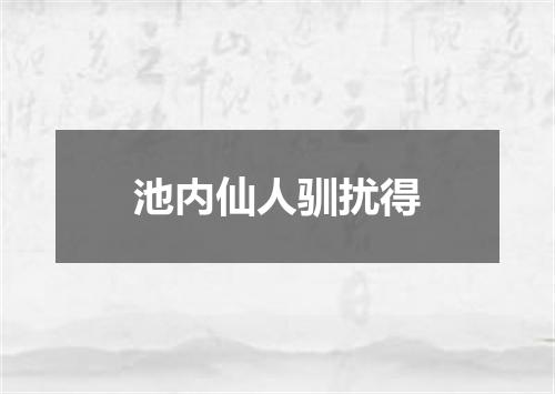 池内仙人驯扰得