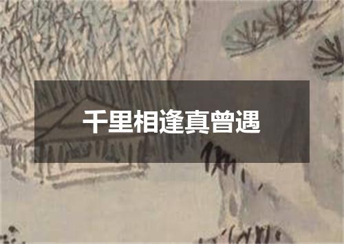 千里相逢真曾遇
