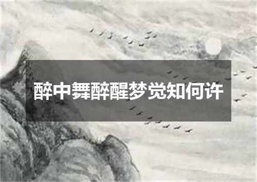 醉中舞醉醒梦觉知何许
