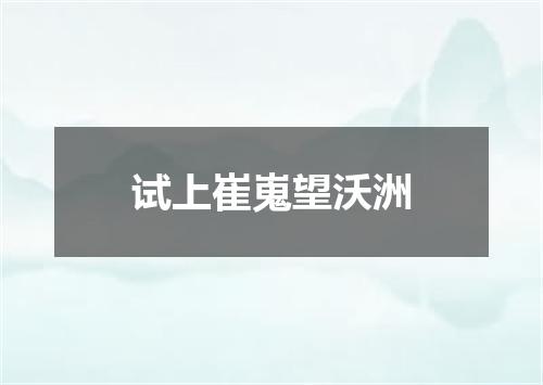 试上崔嵬望沃洲