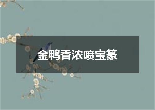 金鸭香浓喷宝篆