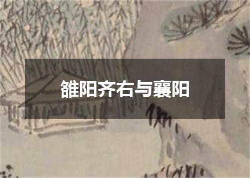 雒阳齐右与襄阳
