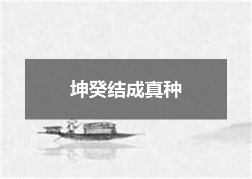 坤癸结成真种