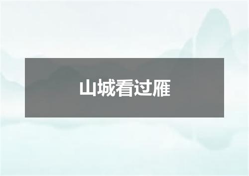 山城看过雁