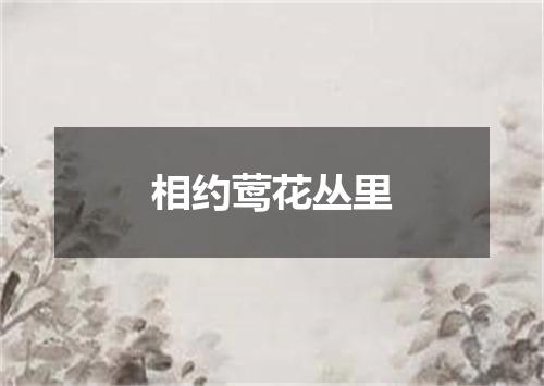 相约莺花丛里
