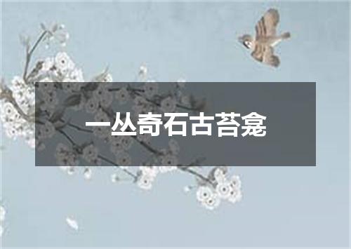 一丛奇石古苔龛