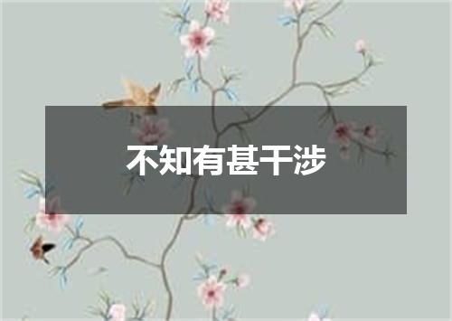 不知有甚干涉