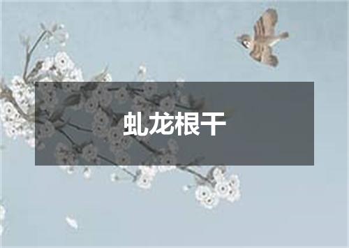 虬龙根干