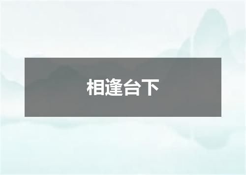 相逢台下