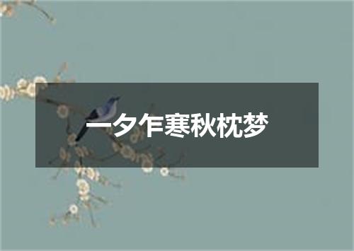 一夕乍寒秋枕梦