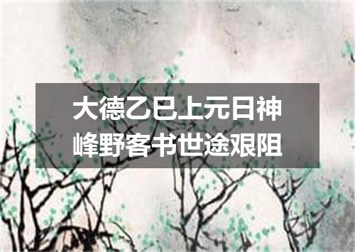 大德乙巳上元日神峰野客书世途艰阻