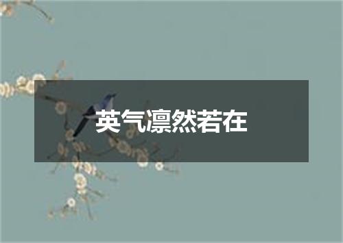 英气凛然若在