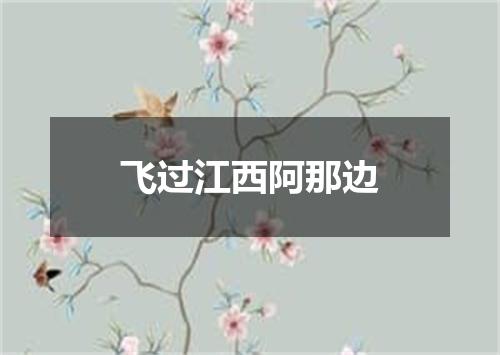 飞过江西阿那边