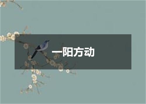一阳方动